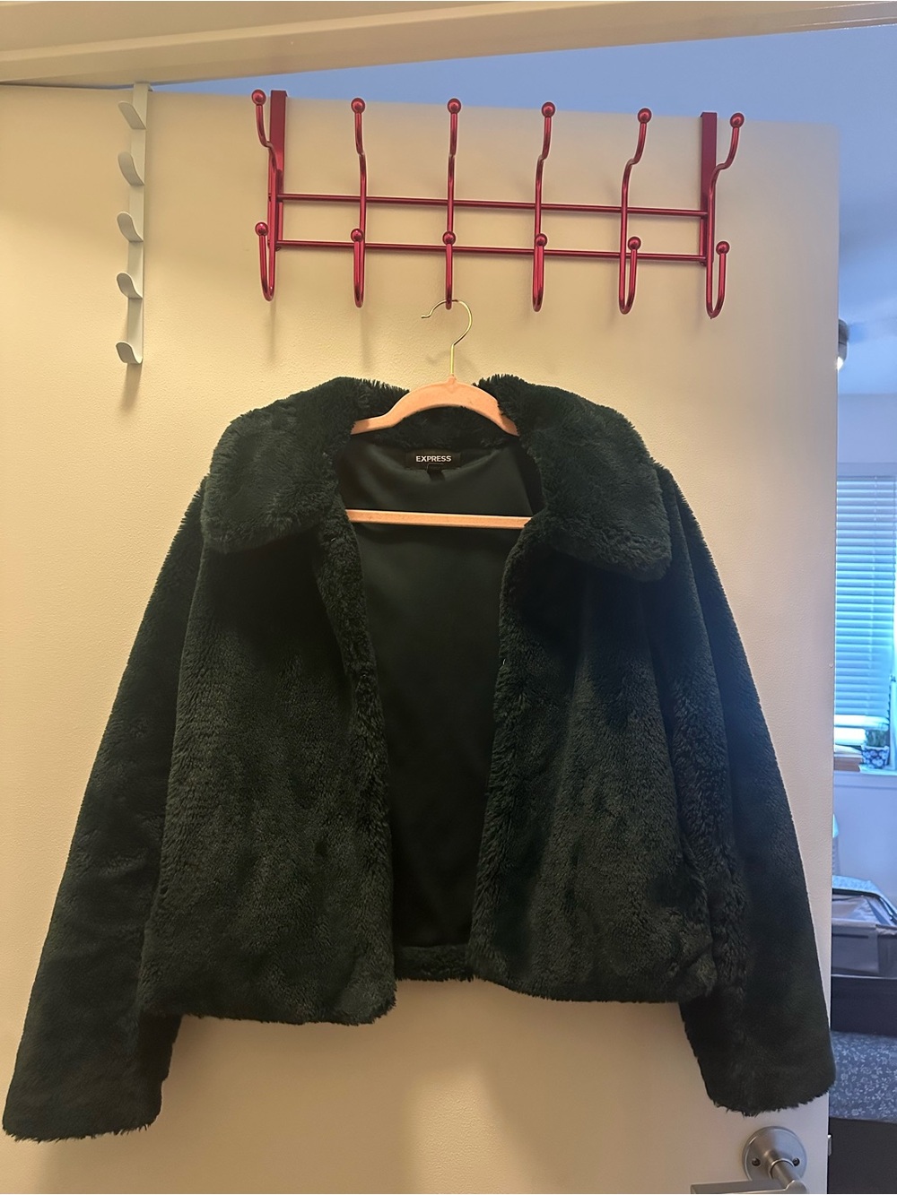 Express Plush Teddy Jacket in Deep Green